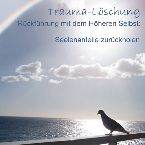 Traumalöschung "Seelenanteile zurückholen"