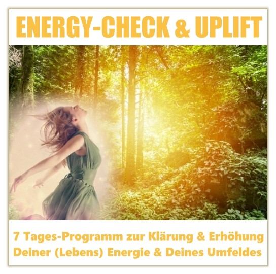 Energy Check & Uplift