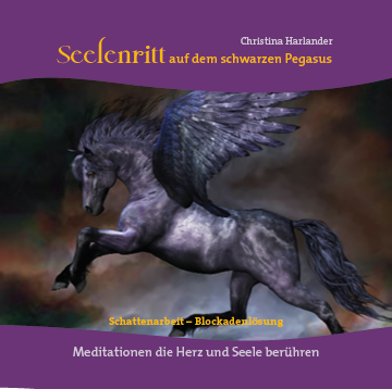 Seelenritt auf dem schwarzen Pegasus