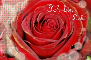 Postkarte "Ich bin Liebe"